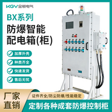 防爆配電箱IIB IIC 隔爆型防爆照明動力配電箱控制箱檢修箱斷路器