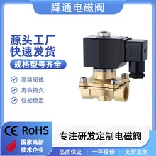 電磁閥廠家ZS-20塑封線圈2w電磁閥 耐熱性較好