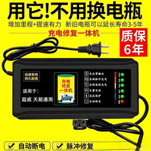 自動斷電電瓶通用器超威電瓶車充電器電動車