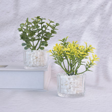 娃娃屋配件玻璃綠植盆栽 仿真迷你植物綠植盆栽擺件 桌面裝飾綠植