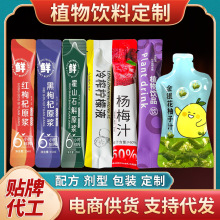 黑紅枸杞原漿植物飲料 植物原漿濃縮果蔬汁廠家定制 益生元西梅飲