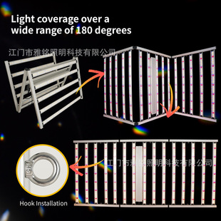 LEDֲ1600WȫV4*8ftNֲW|ρ2.4MֲLa