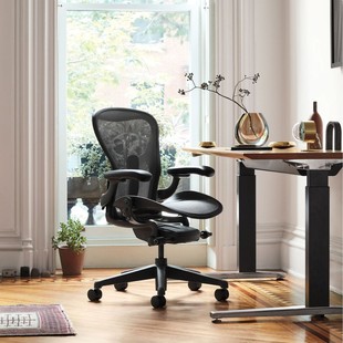 Herman Miller  AeronwWkX늸