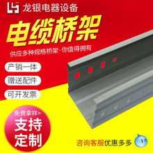 廠家供應 熱鍍鋅噴塑槽式線架梯式電纜托架 不銹鋼電纜橋架