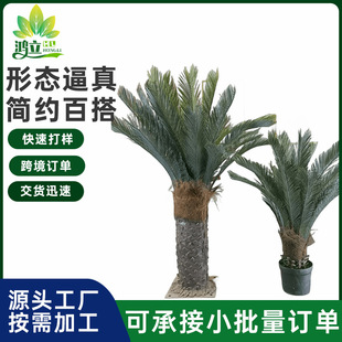 定制仿真蘇鐵盆栽室內造景裝飾綠植盆景酒店商場植物擺件人造鐵樹