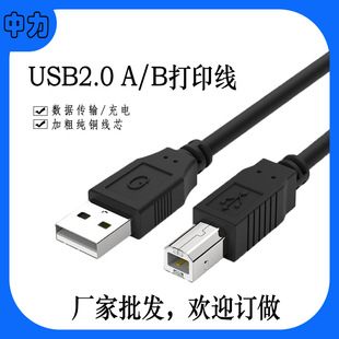 USBӡUSBڣUSBUSB A/B 1.5ף~оɫ