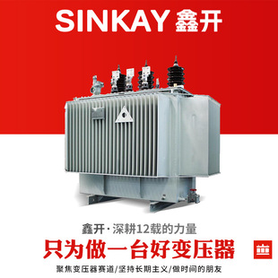 s13-250kva315kw800ǧ10kv380400ͽʽȫ~׃