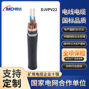 明達國標DJVPV22電纜銅芯鋼帶鎧裝電纜線分總屏蔽信號計算機線纜
