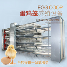 蛋雞養殖設備熱鍍鋅全自動立體式養雞設備自動化層疊養雞全套設備