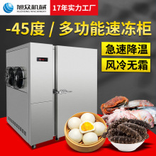 旭眾雙門單門速凍櫃包子餃子油條湯圓推車式急凍速凍櫃