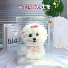 馬爾濟斯永生花禮盒小狗花束生日禮物女生送女朋友的高級感擺件