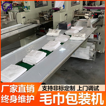 一次性毛巾包裝機濕巾抽真空自動套袋機壓縮浴巾全自動枕式包裝機