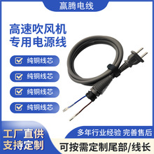 歐規高速吹風機二插電源線 歐標ac線2芯無氧銅電器插頭延長線二孔