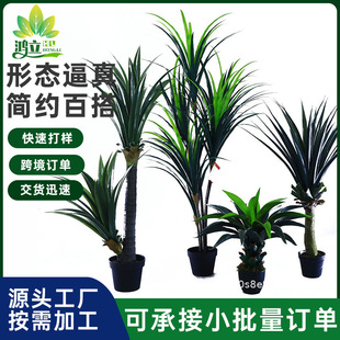 定制仿真龍血樹盆栽人造假樹白邊草室內仿真植物客廳落地綠植盆栽