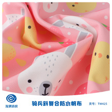 卡通動物圖案帆布 全滌斜紋復合印花布 手袋錢包桌布窗簾抱枕面料