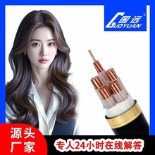 國標YJV/YJV220.6/1KV銅芯電纜45芯10～300平方電力電纜線充電樁
