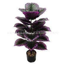 跨境仿真植物紫羅蘭萬聖節裝飾暗黑系綠植跨境仿真花家居客廳落地