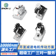 廠家直銷罩極電機罩極直流減速電機罩極齒輪電機送料電機BBQ減速