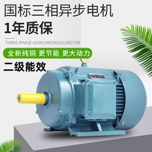 YE4 5.5KW2P(5.5千瓦2極)動力全銅電動機工廠直供三相異步電動機