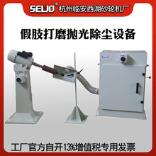 杭州SEWO西湖砂輪機廠假肢拋光機假肢打磨機假肢砂磨機