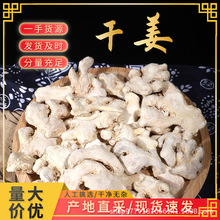 干姜 老姜可泡腳代打粉干姜片干姜個 產地直銷量大從優現貨現發