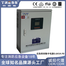 36V智能疏散指示系統集中電源A型應急照明電源eps應急電源壁掛式