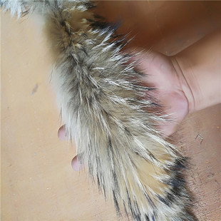 貉子毛領真貉子毛條68cm 毛領半成品大毛帽條 無里布皮毛輔料批發