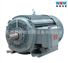 安徽皖南電機WNM YE3-132M1-6超高效率電機6級轉速4KWB3卧式現貨