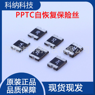 NƬԻ֏ͱUz USMF050 1210 0.5A 500MA 30V SMD PPTC