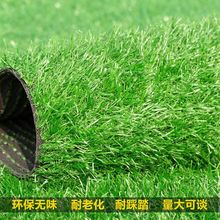 工地圍擋草皮綠地地毯綠植幼兒園人造戶外庭院草坪墊子草仿真草坪