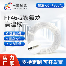 鐵氟龍透明鍍銀電線FF46-2高溫線氟塑料電線