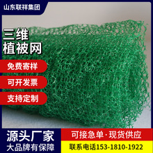 廠家生產三維植被網植草護坡邊坡湖綠塑料三維土工網 三維植被網