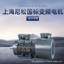 上海尼松變頻國標電機具體價格咨詢客服