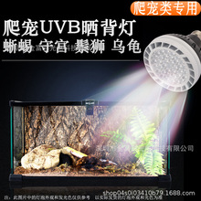 烏龜UVB燈魚缸燈加熱燈全光譜烏龜曬背燈爬寵uvb燈泡蜥蜴黃緣龜缸