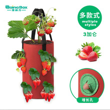 吊掛式12口多口不滲水草莓種植袋 香草植樹袋園藝育苗廠家直供