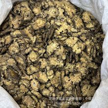 四川川芎散裝現貨批發500起包郵到家中葯材產地一手貨源