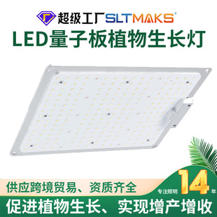 Sҹ؛LEDӰgrowlightֲ110W߲˹ϹledֲL