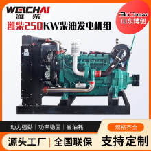 博創濰柴250KW固定動力發電機工地備用柴油機濰柴柴油發電機組