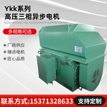 廠家直銷高壓三相異步電動機YKK5602-2/1000KW/10KV/2979轉rpm/mi
