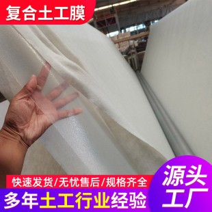 復合土工膜人工湖魚塘用全新料兩布一膜蓄水池水利工程防滲土工膜