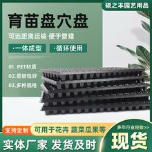 加厚番茄豆角育苗盤多肉植物花盆穴盤PET塑料花卉蔬菜育苗穴盤