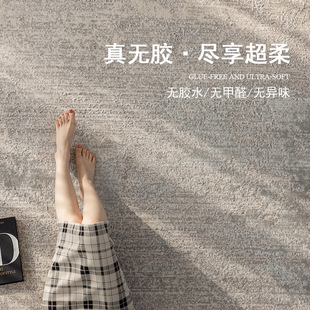 2025新款無膠防水地毯客廳沙發茶幾卧室墊無甲醛防貓抓免打理