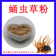蛹蟲草粉支持檢測子實體蛹蟲草粉原粉現貨蛹蟲草花粉