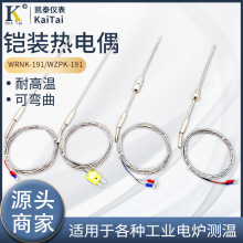 鎧裝熱電偶/鉑電阻WRNK-191 探針式探頭熱電偶 WRN型 K型熱電偶