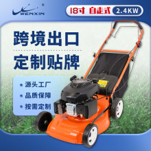 批發18寸自走式家用小型手推四沖程大功率汽油割草機汽油機除草機