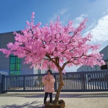 仿真桃花樹櫻花樹大型假樹室內外裝飾許願樹商場酒店婚慶擺設造景