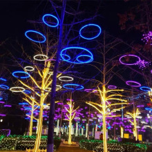 LED發光圓環掛樹裝飾燈公園景區街道亮化戶外防雨工程亮化裝飾燈