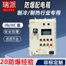 配電箱成套機械設備專用IICT4防爆等級開關箱安全配電櫃工廠