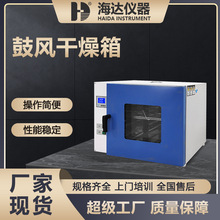 海達電熱恆溫鼓風干燥箱實驗室高溫工業烘箱烤箱烘干箱試驗烘干箱