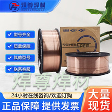 上海電力PP-TIG-J50碳鋼氬弧焊絲 ER50-4C氬弧電焊絲